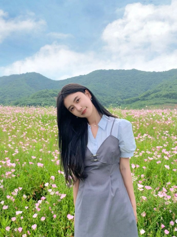 绿皮书